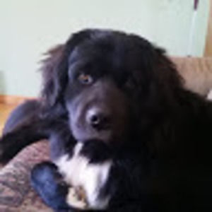 Meet your Posher, Melanie